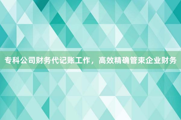 专科公司财务代记账工作，高效精确管束企业财务